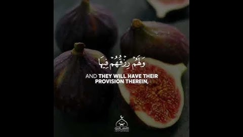 مقطع قران قصير من سورة مريم