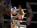 OMG! Knockout Head Kick Stuns Opponent! 🤯 #MMA #Knockout #Viral #shorts