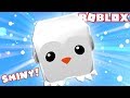 WE MADE A SHINY LEGENDARY PENGUIN! | Roblox Bubble Gum Simulator