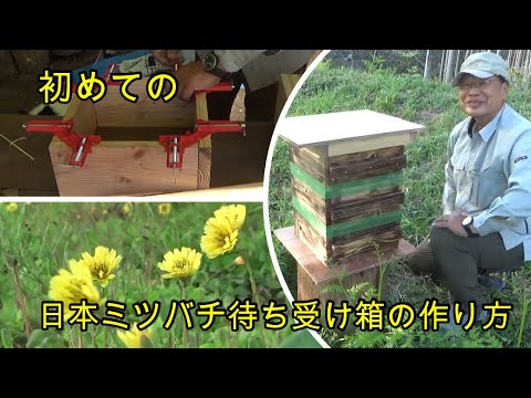 初めての日本ミツバチ待ち受け箱作り - YouTube