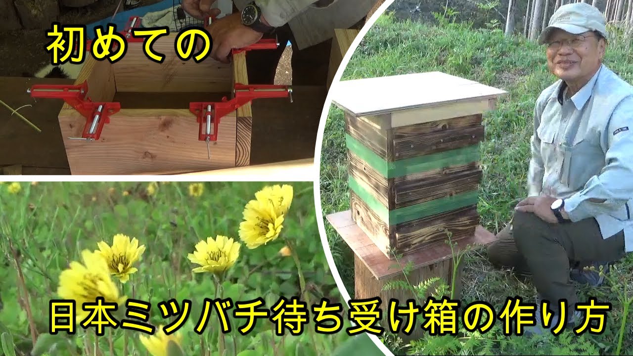 日本蜜蜂の待ち受け箱 初めての日本ミツバチ待ち受け箱作り - YouTube
