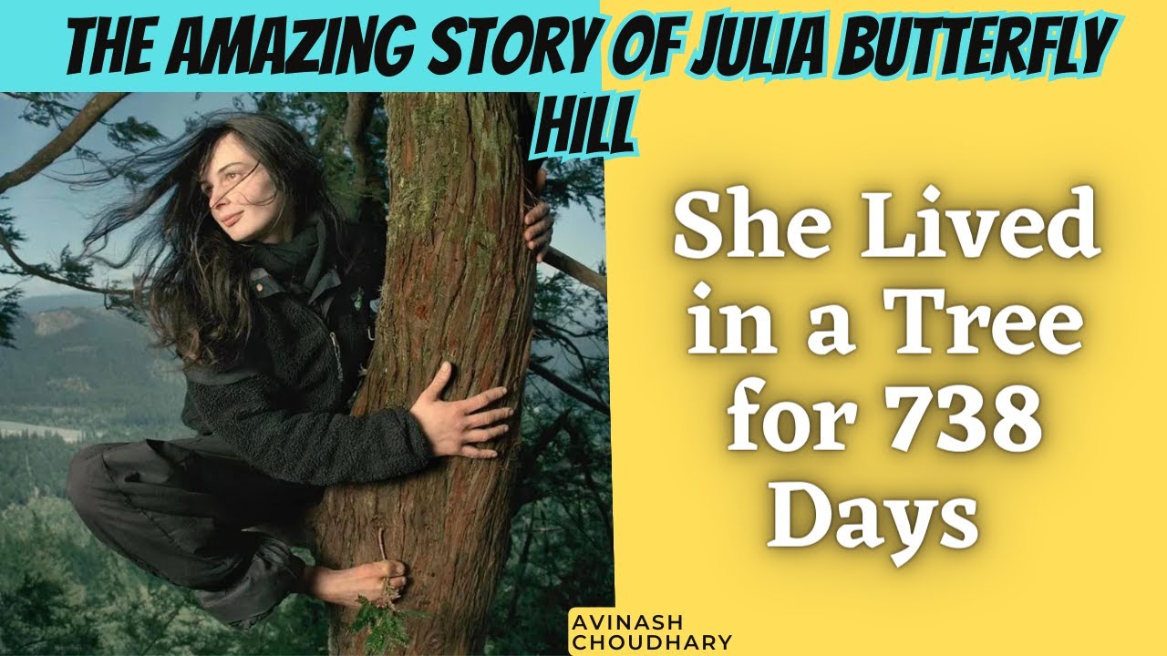 She Lived in a Tree for 738 Days The Amazing Story of Julia Butterfly