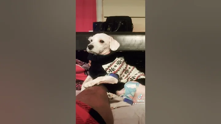 Gentleman