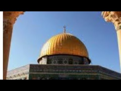 تحيا الأمة العربيه انا دمى مصرى فلسطينى عربي