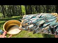 ルール:釣れた魚は全て鍋にぶっこむ。