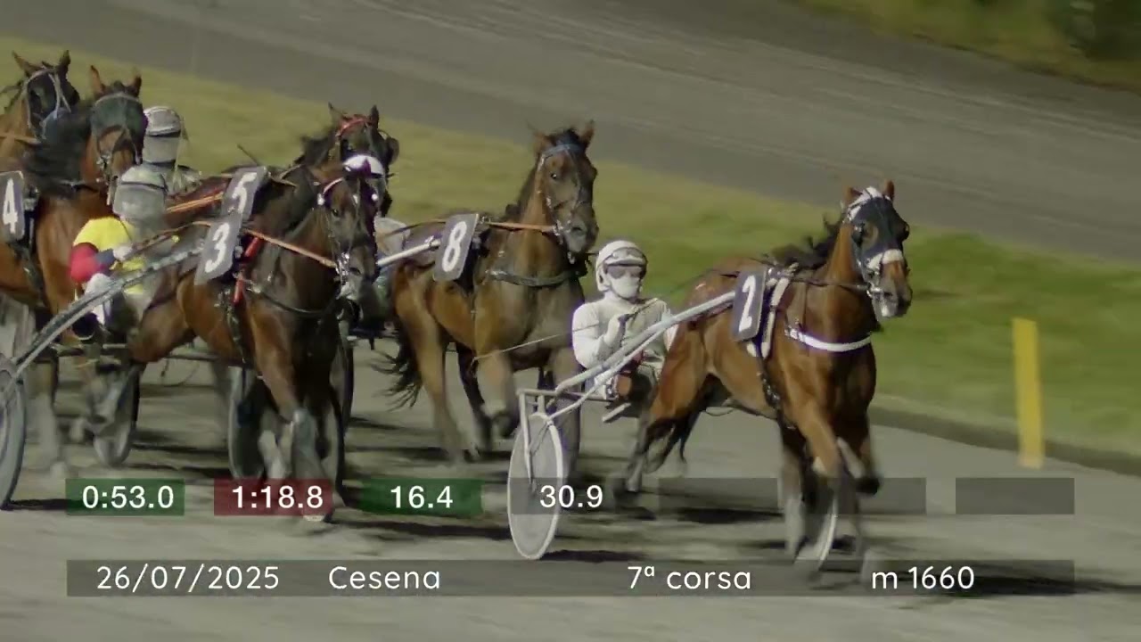 2025 07 26 | Corsa 7 | Metri 1660 | Premio Silico