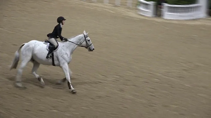 Video of COLLEEN GILMORE ridden by COLLEEN GILMORE...