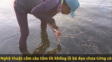 Nghệ thuật cắm câu tôm tít khổng lồ bá đạo chưa từng có