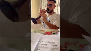 Zurna Dersi / Diyar Kardesim / Adil Gülen 