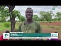 Northern Ghana Farmers Fear Return of Drought as Rains Delay