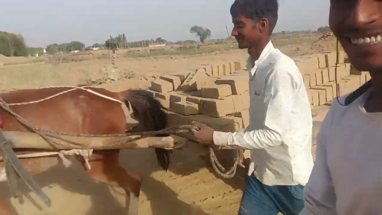 aur ghoda ko bhi sankat mein le jaate Hain Raat Ke ETA please garib ke liye bhi ek ladka subscribe