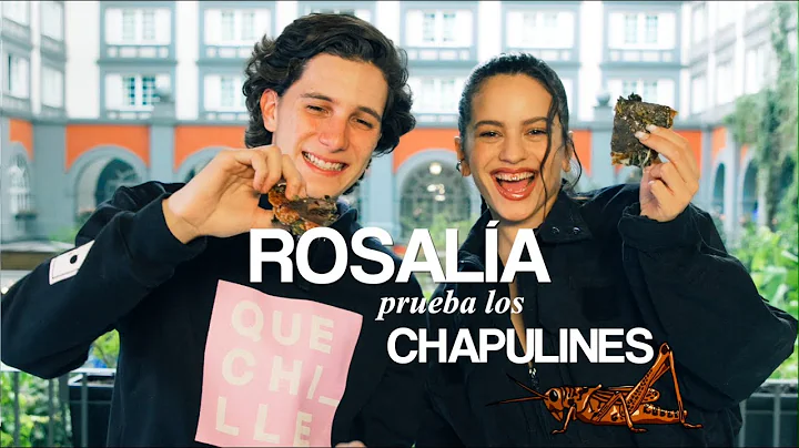 Cocine con ROSALA Quesadillas Mexicanas | Robegrill