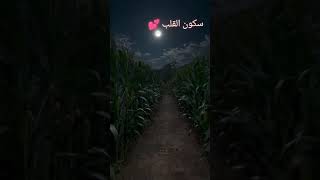 سورۃ الضحیٰ