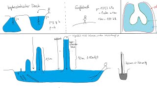 Physiologie: Atmung 1 – Basics, Druck, Bernoulli-Effekt