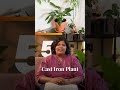 Which Plants Are Best for Home Interiors?