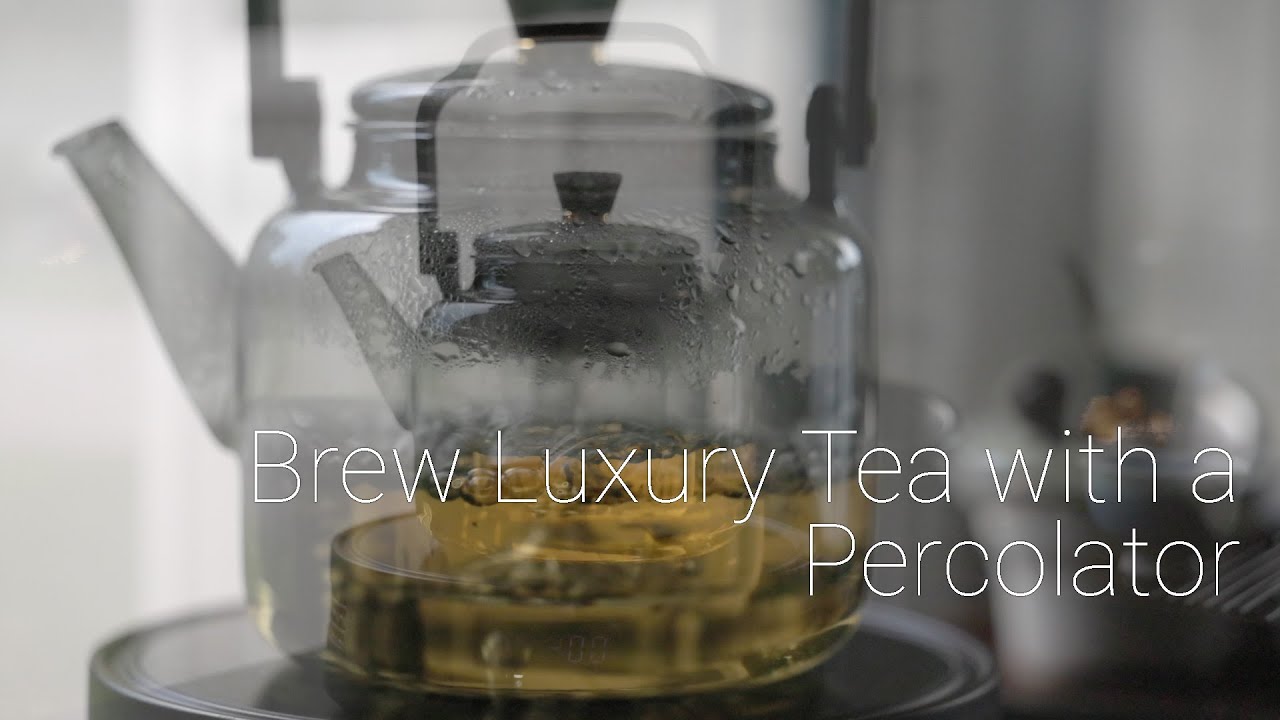Boil Aged White Tea in a Percolator | New Way to Brew Luxury White Tea