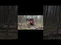 Tractor Log Tongs, Timber Grabber, Log Lifters