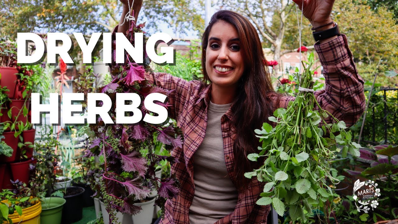 HOW TO HARVEST AND DRY HERBS AT HOME | Drying herbs | Mari's Garden & Kitchen