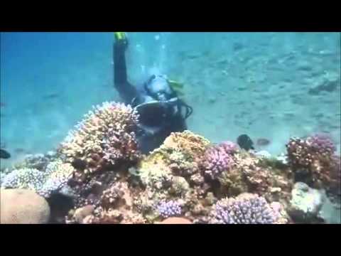 #Ras Abu Galum, Dahab, Egypt#