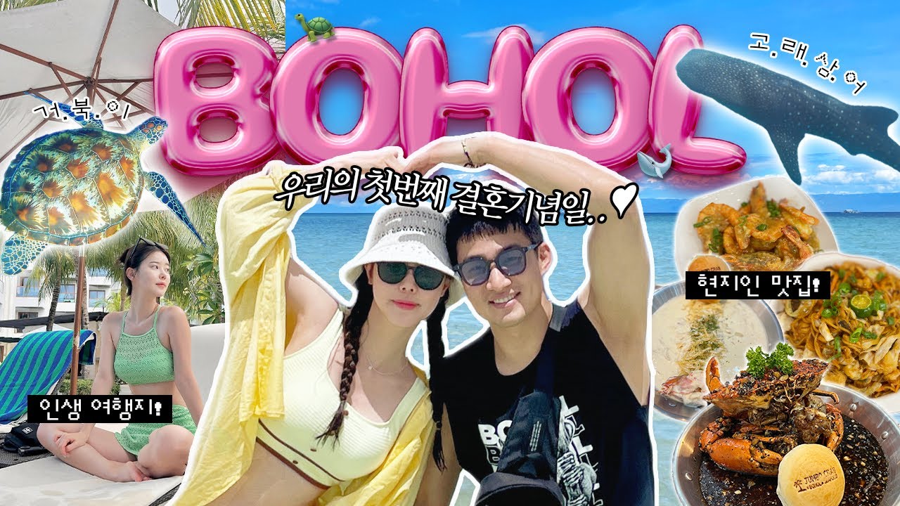 인생여행지 등극🫶🏻 3박4일 꽉찬 보홀 여행 브이로그🏝️ 돌고래🐬 고래상어🦈 바다거북이랑 수영?🤿 찐맛집추천·헤난 알로나비치·발리카삭 투어·안경원숭이·반딧불이 투어