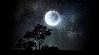 Avantasia  - Wake up to the moon