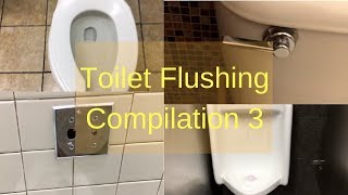 Toilet Flushing Compilation 3 - Gulf Shores Edition