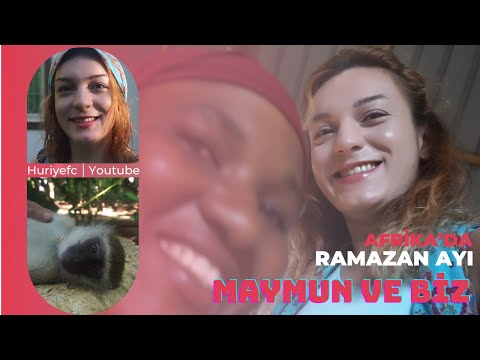 Afrika'da Ramazan Ayı - Bir maymun ile yaşıyoruz