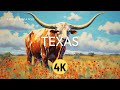 Texas 4k u texas 4k u dallas 4k  austin 4k u houston 4k u.