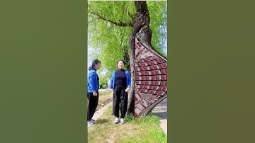 This old willow tree has silver hidden in it and goes in to see the original works. The spring s