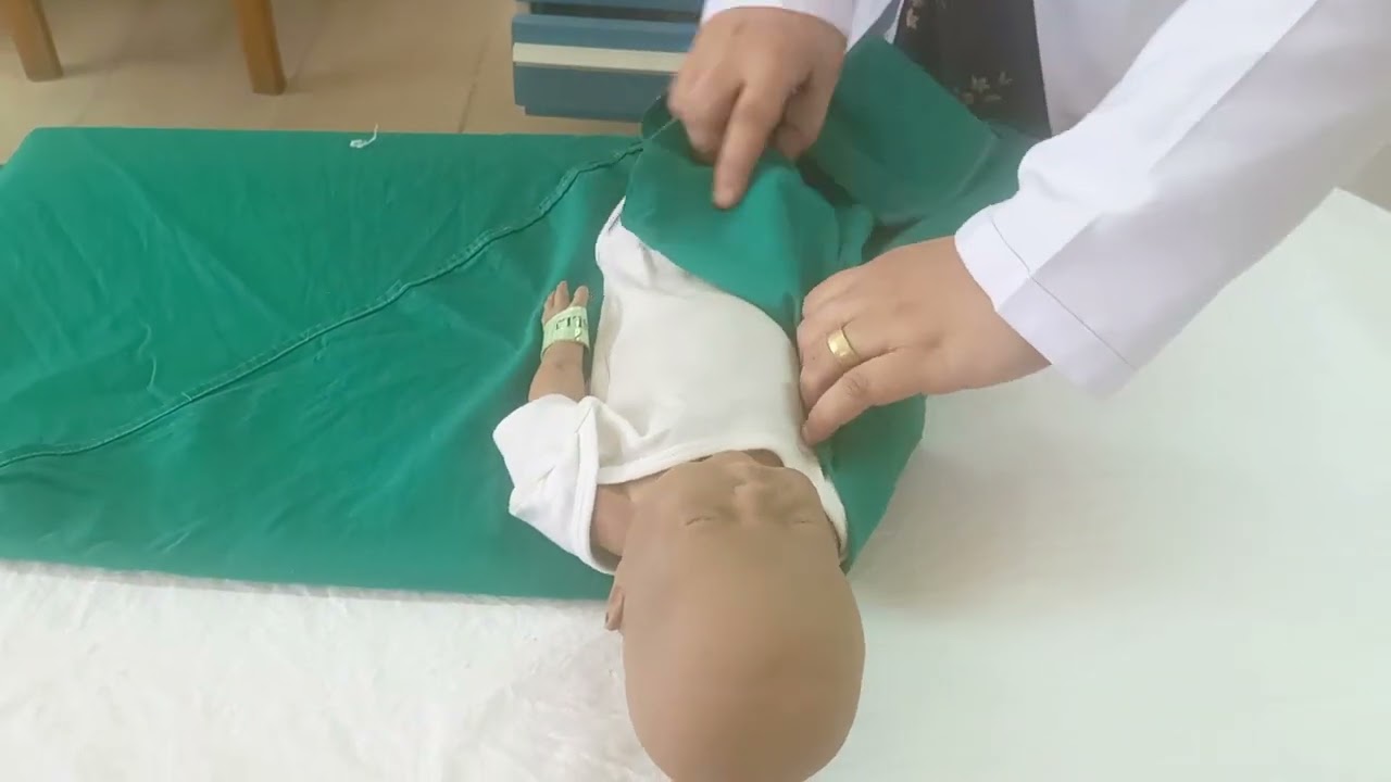 Complete mummy Restraint