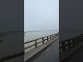 চলন বিল