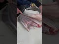 【職人】座布団ヒラメ捌く