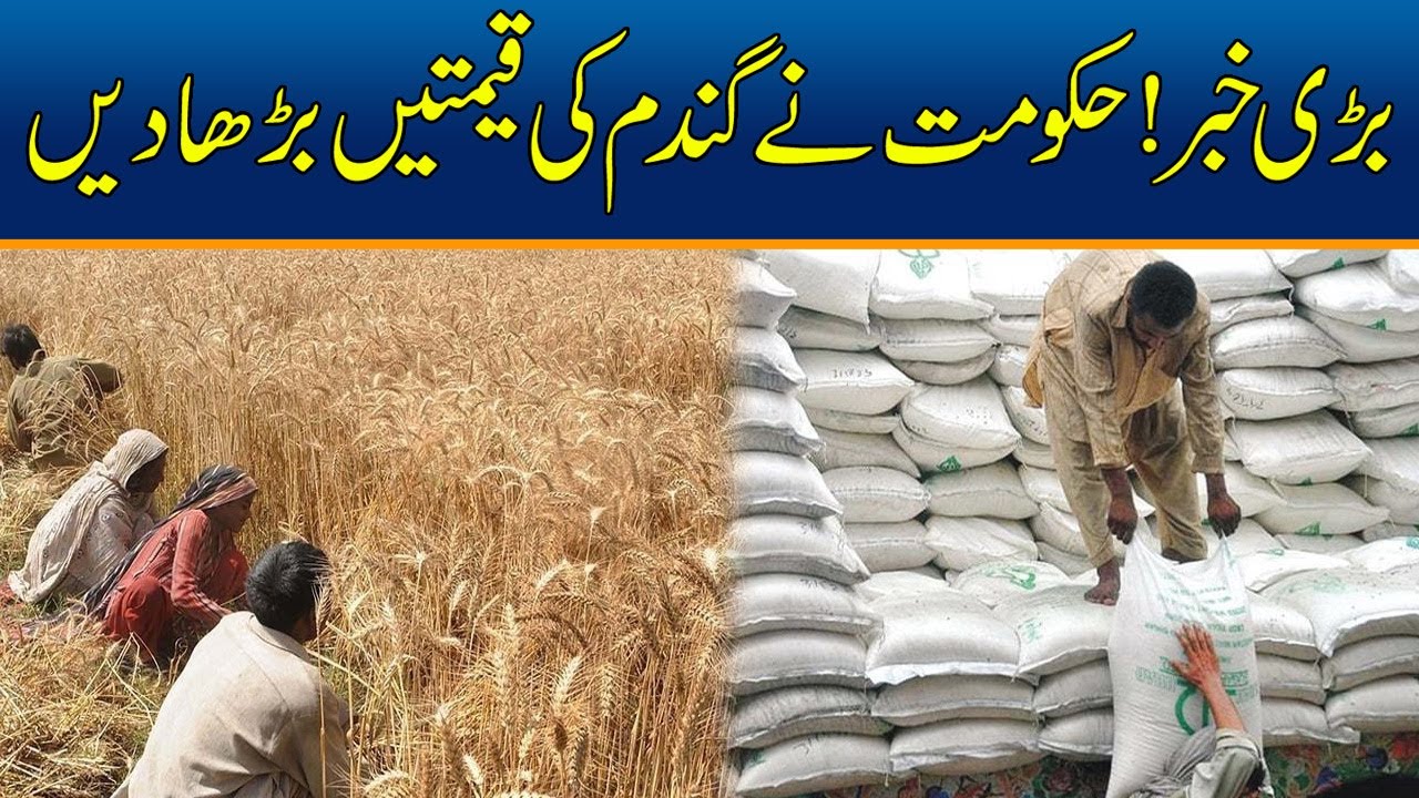 Government Increased Wheat Prices