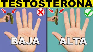 10 Señales De Que Tienes MUCHA TESTOSTERONA