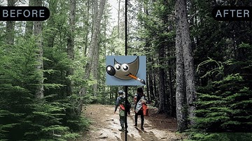 How to Edit Photos Using Levels in Gimp