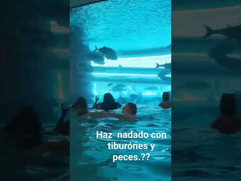 Casino 3..MARIACHI TIERRA CALIENTE DE MEXICALI 2014....