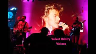 Velvet Oddity Bowie Reed Pop tribute