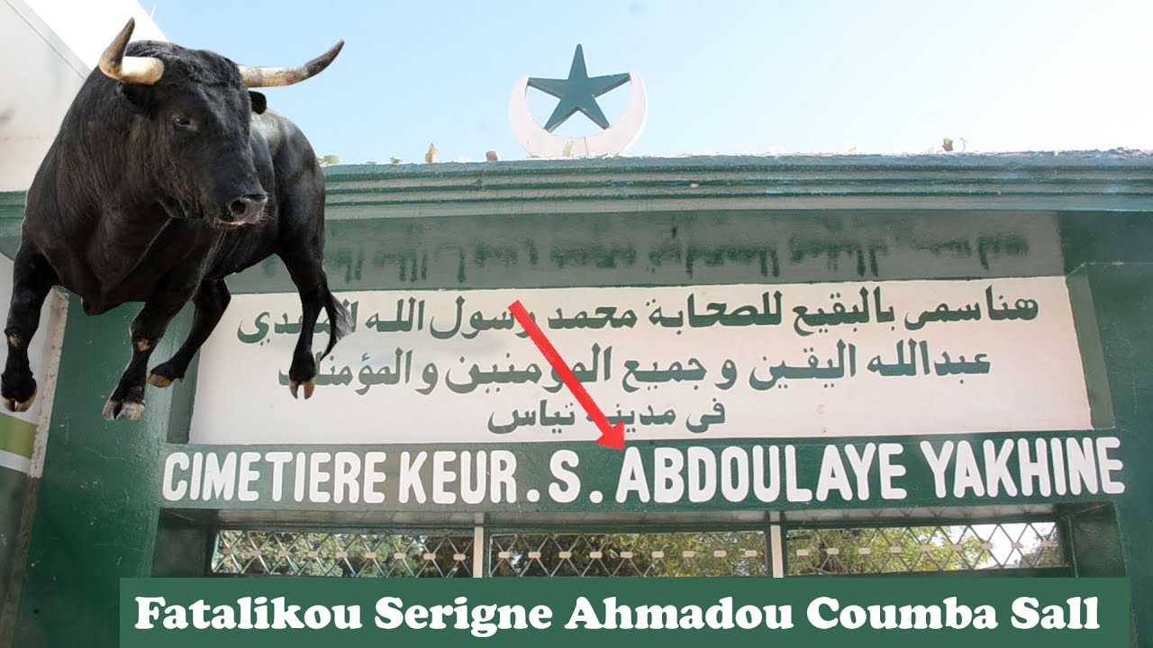 🔴Miracle Li Mouhamadoul Abdoulahi Yakhine Wakhone Serigne Ahmadou Coumba Sall Thi Nak Bou Nioul bi
