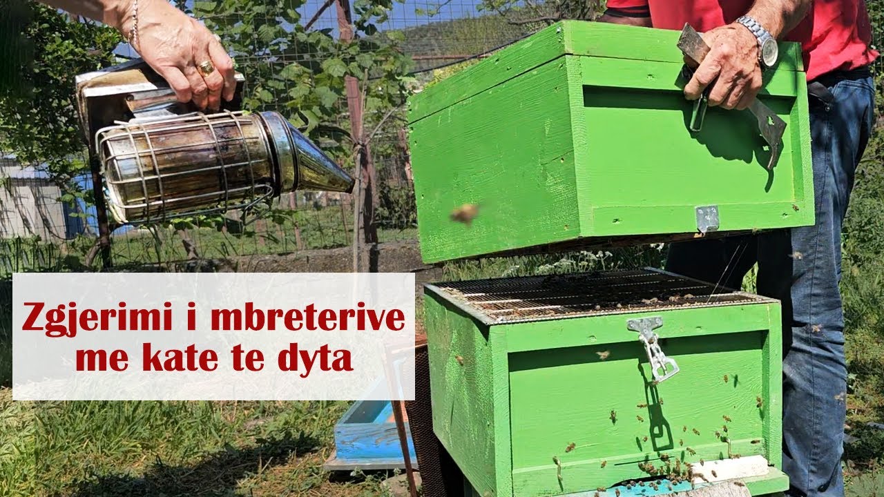 Zgjerimi i mbreterive me kate te dyta / Expansion of bee kingdoms with second floors box .