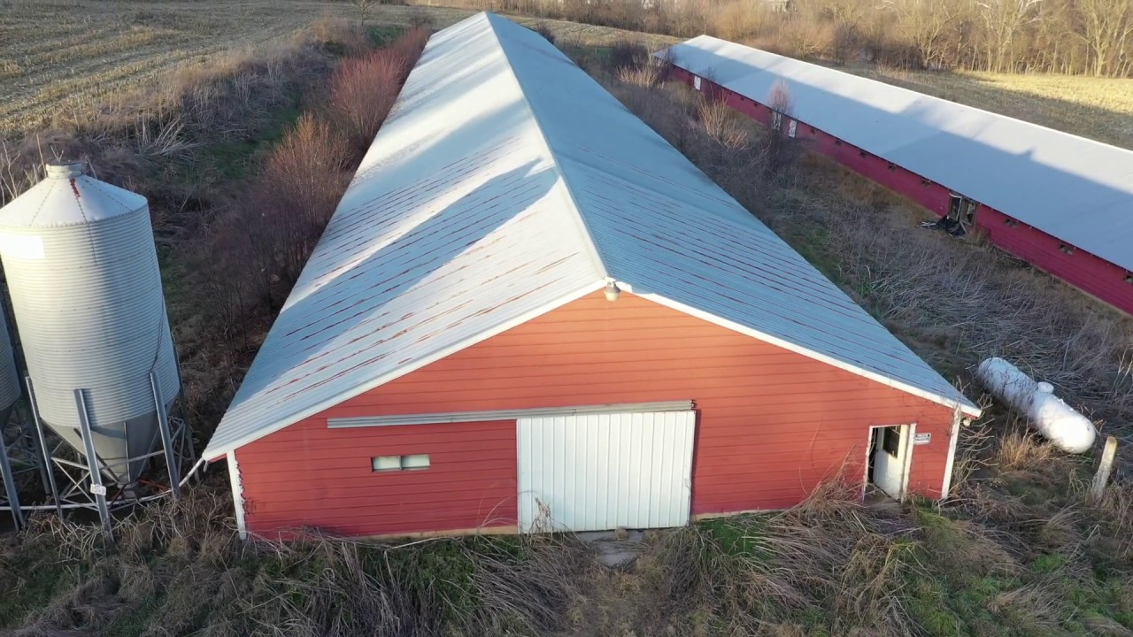 Poultry Farm in Timberville Virginia YouTube