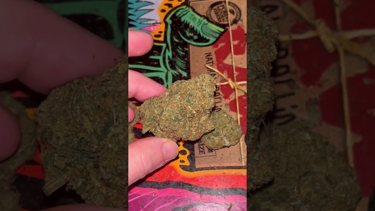 AAAA Apricot Cream & Cheese 