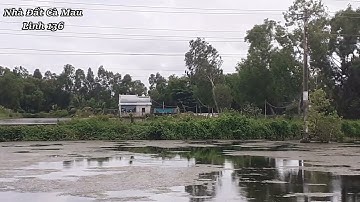 Bán Đất Vuông Tôm Cà Mau Giá Rẻ, Vuông Gần TP Cà Mau Chỉ 2 Km