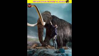 🦣 Extinct Animals Are Coming Back... 😳🧬#viral #amazingfacts#extinctanimals#factzsance