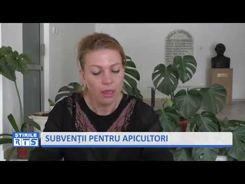 Video: Cum Să Obțineți O Subvenție Pentru Utilități