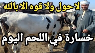 لا حول ولا قوه الا بالله خسارة كبيرة للجميع اليوم? اسعار العجلات اللحم في سوق قطور خلف كل التوقعات