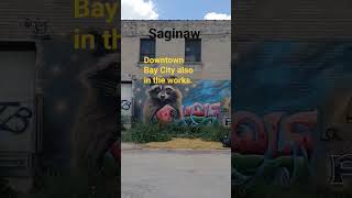 More Downtown Saginaw: "Old Town" #saginaw #automobile #historical #history #business #drivevintage