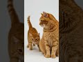 Do orange tabbies ki masti 😹🧡 #viral #ytshorts #youtubeshorts #ai
