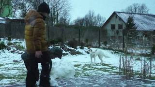 The Kid Paka Balwan - Przyspieszenie