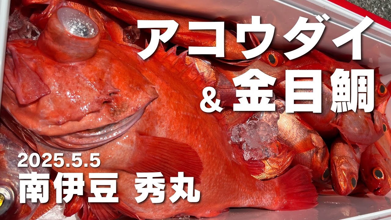 〈2025年5月〉アコウダイ＆金目鯛