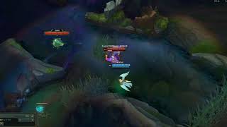 Pretty Cat Rengar New Skin Instakills